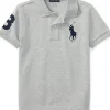 Polo Ralph Lauren Kids Shirts & Tops<Big Pony Cotton Mesh Polo Shirt (Little Kids) Andover Heather