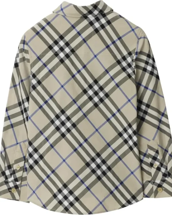Burberry Kids Shirts & Tops<Owen Check Long Sleeve Button Down Shirt (Little Kid/Big Kid) Lichen IP Check