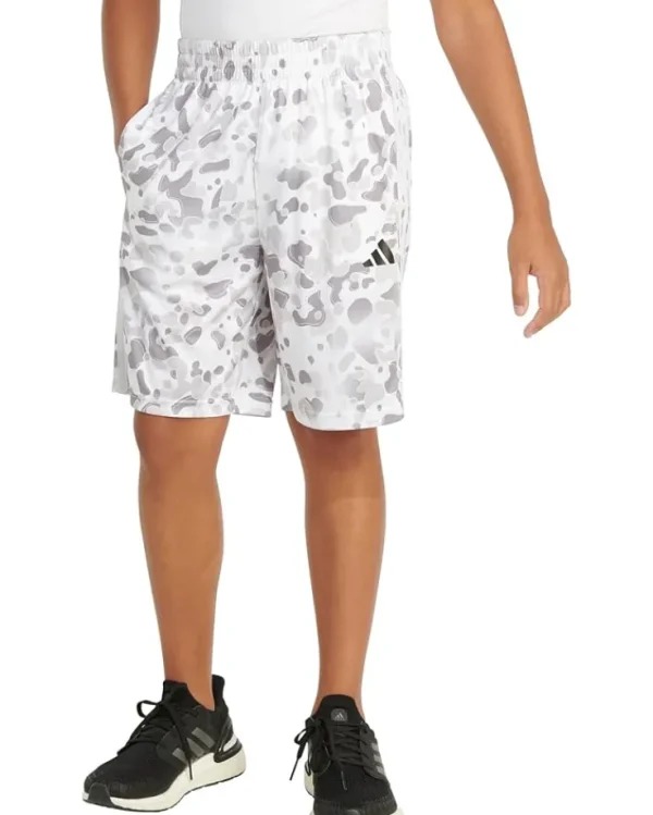 adidas Kids AOP C Camo Short S24(Toddler/Little Kid) | Kids/BOY Shorts