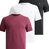 AllSaints Brace Short Sleeve Crew 3 Pack | Shirts & Tops